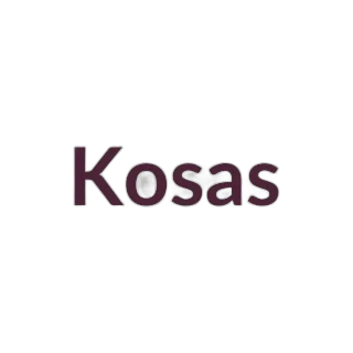 Kosas Revealer Concealer
