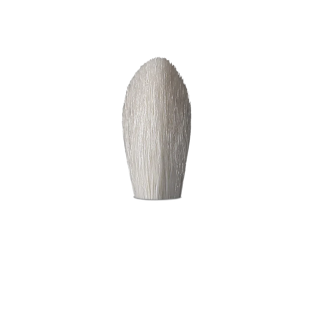 Rephr 02 Brush