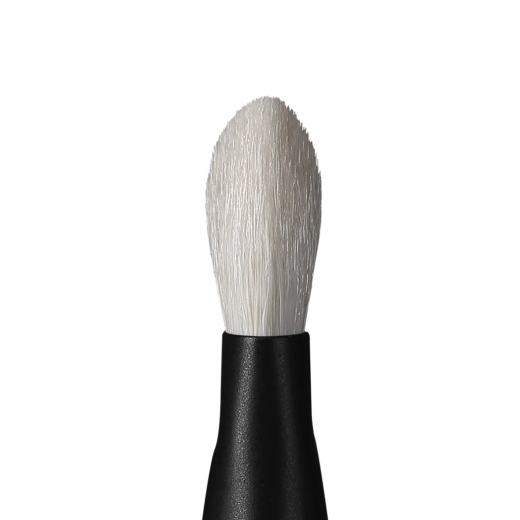 Rephr 02 Brush
