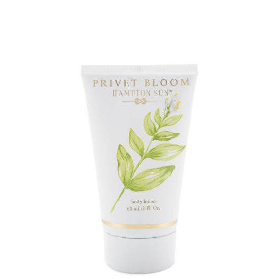 Hampton Sun Privet Bloom Body Lotion