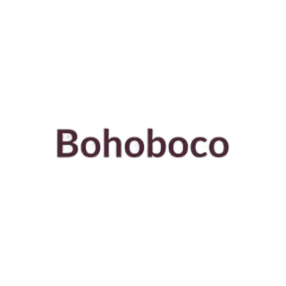 Bohoboco Plum Spray Paint