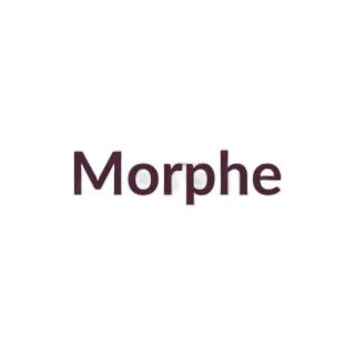 Morphe Bronzer Duo