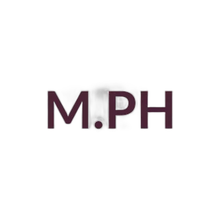 M.PH The Foundation Brush