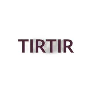 TIRTIR Skin Glow Cushion