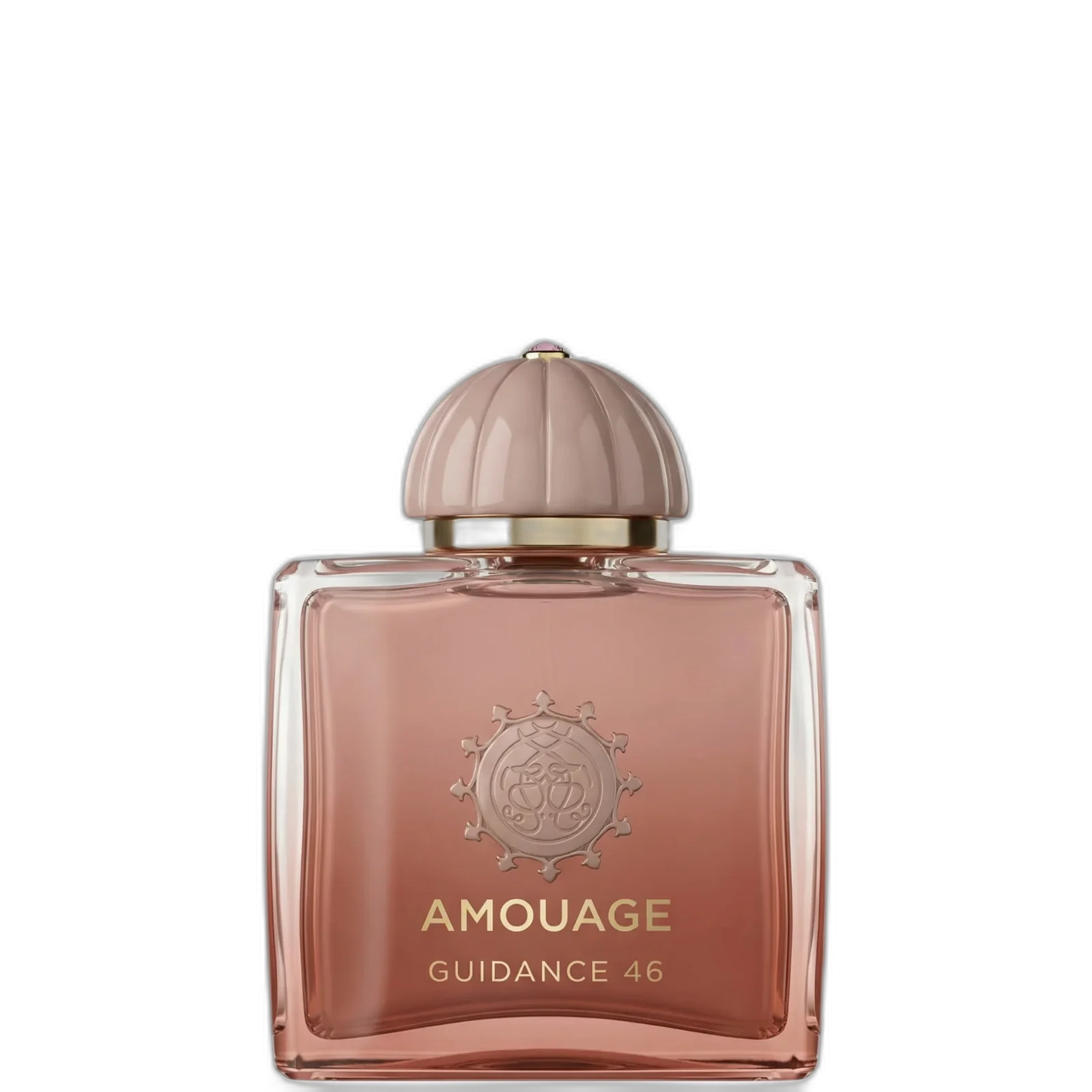 Amouage Guidance 46