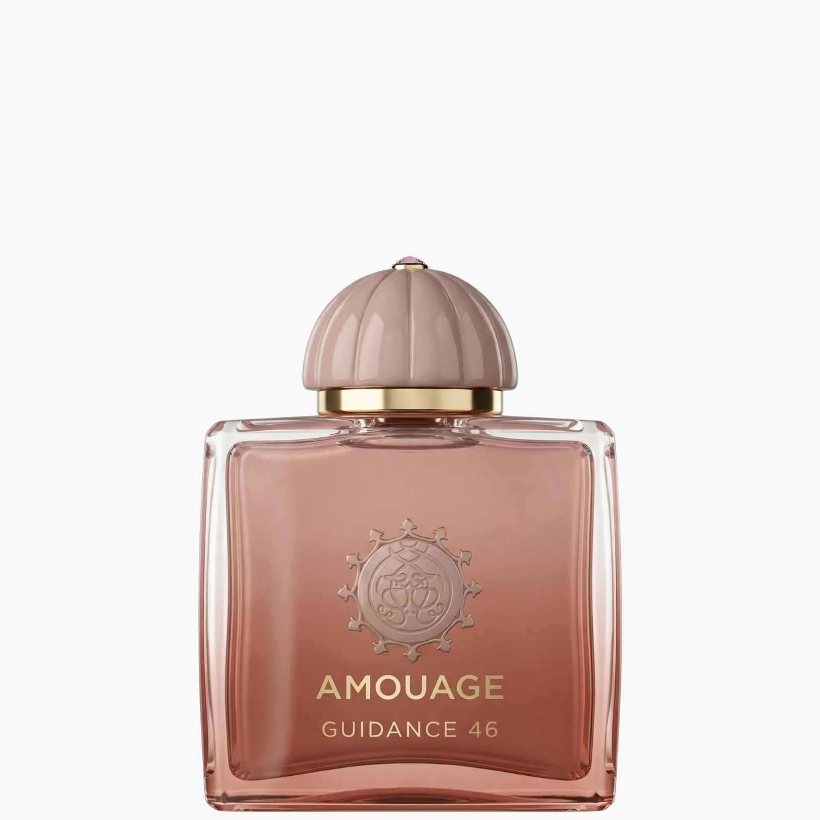 Amouage Guidance 46