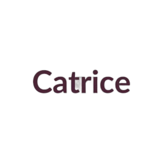 Catrice Magic Shaper Face Cream Palette