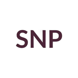 SNP Big Patch 2 Options [Collagen Perfection / Glutathione Dark Zero] 60P