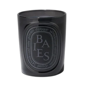 Diptyque Baies Medium Candle